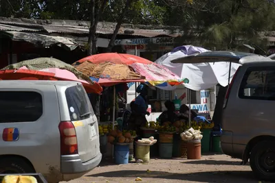 DSC_2646 (Large).JPG